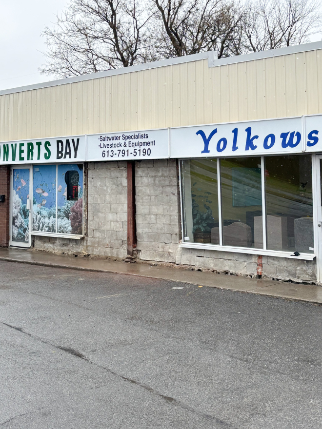 commercial exterior brick repairs ottawa